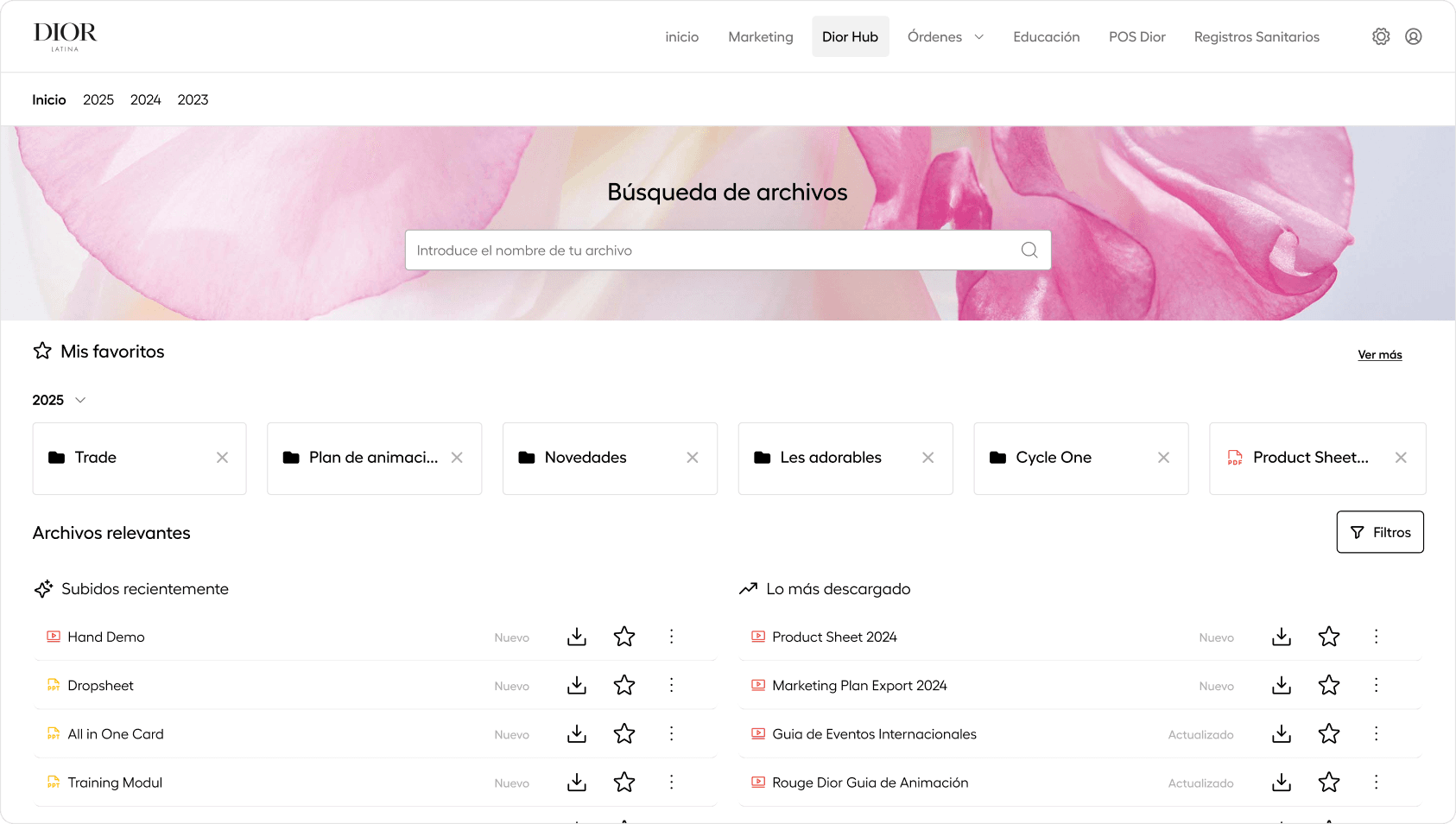 New Dior LatAm intranet interface